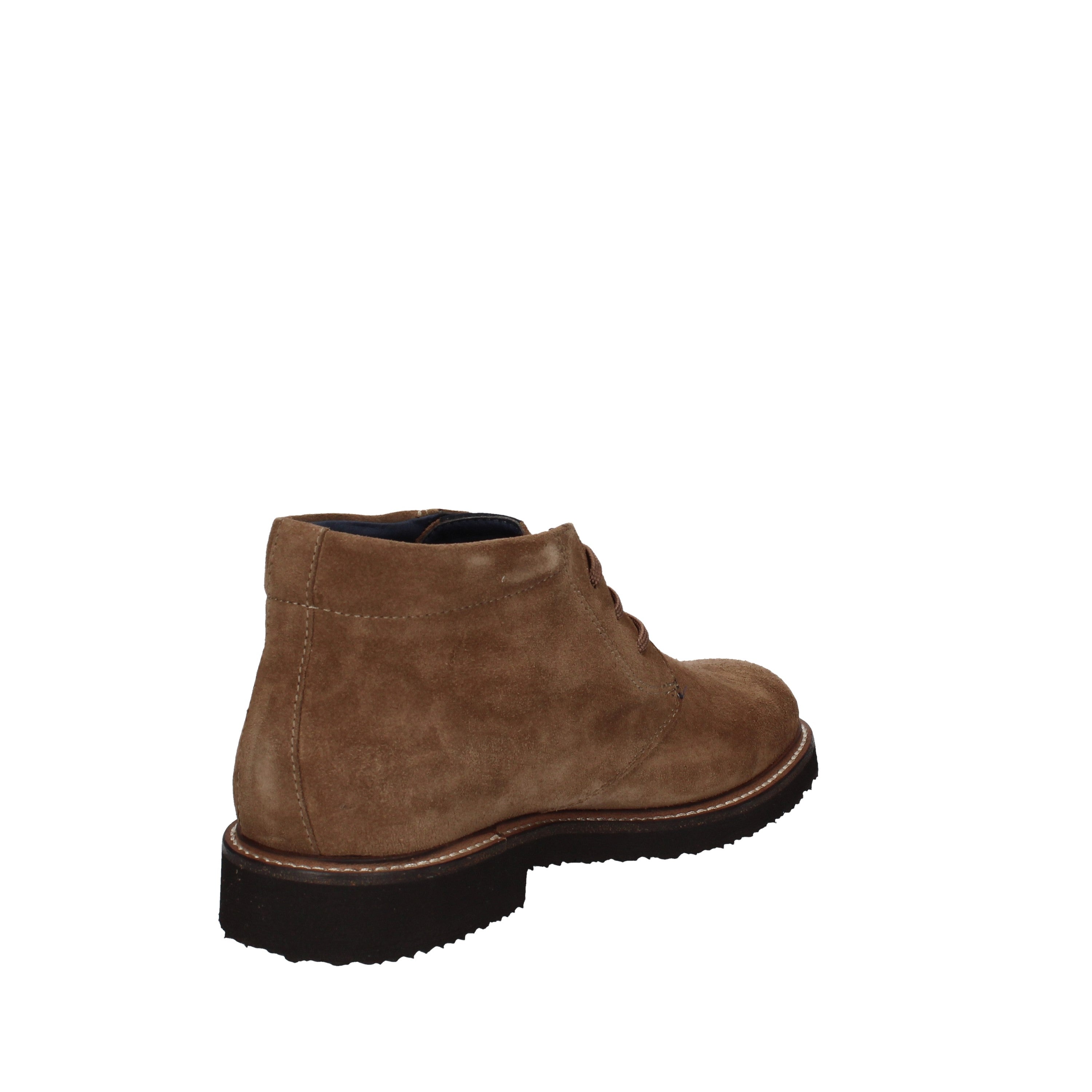 callaghan polacchino 19701