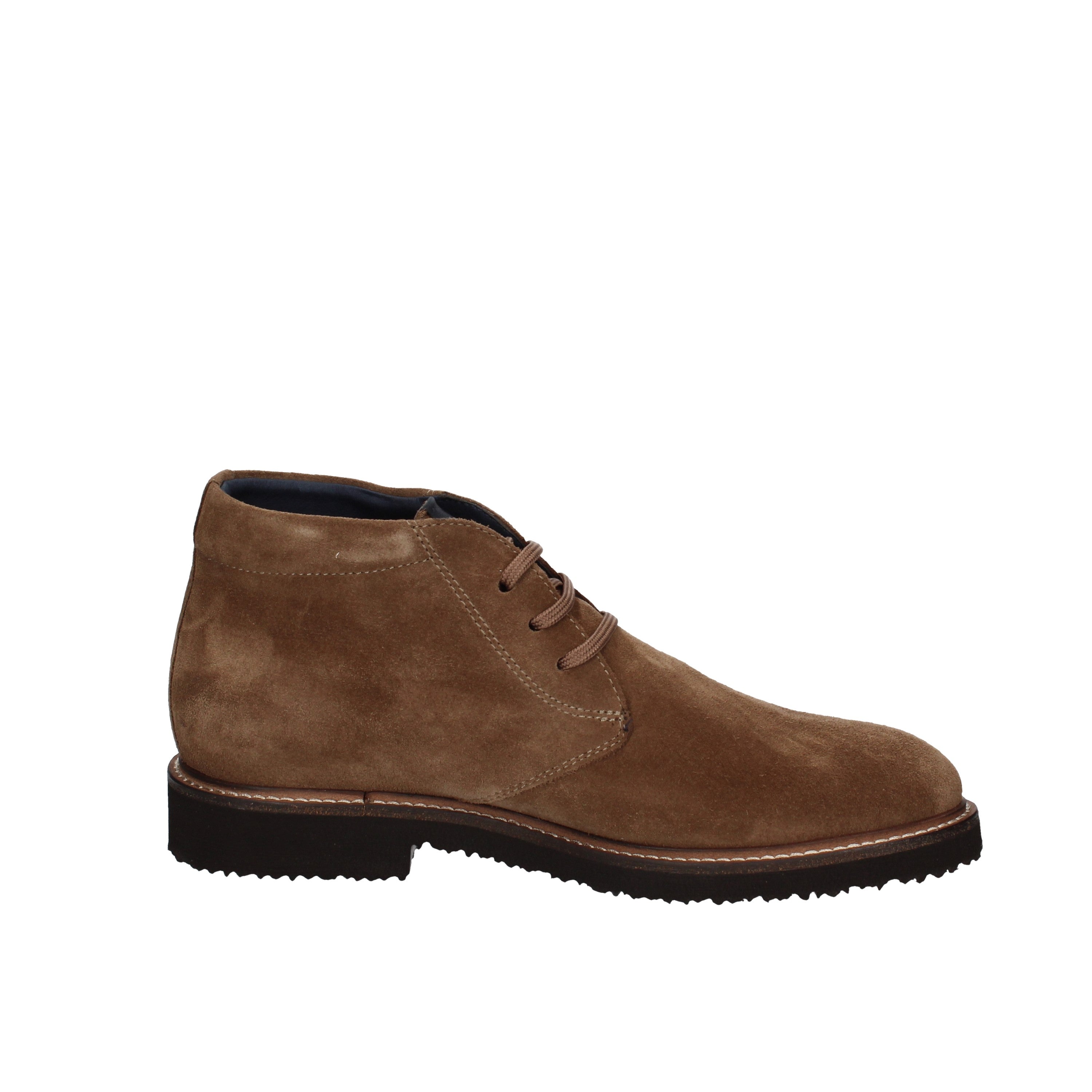 callaghan polacchino 19701