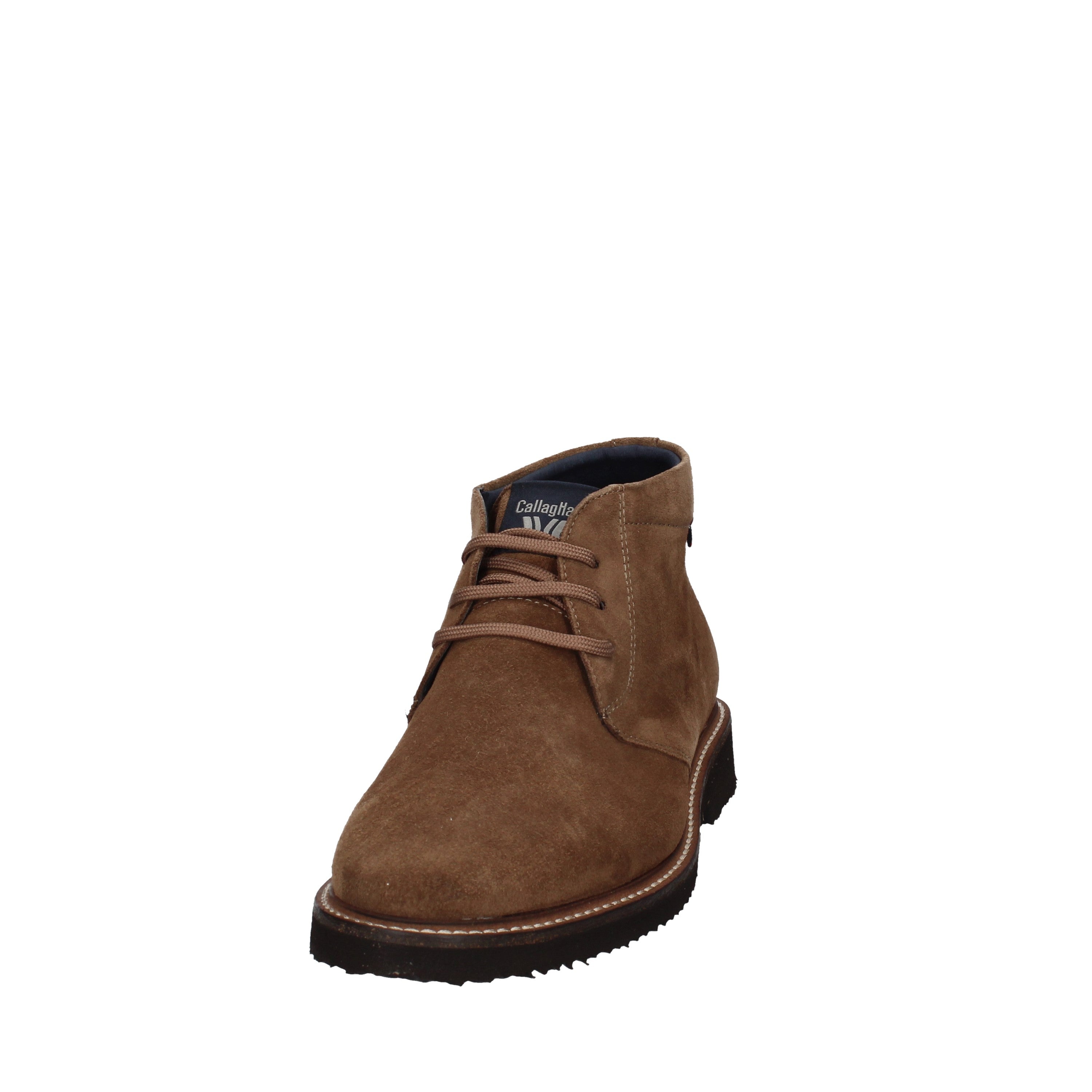 callaghan polacchino 19701