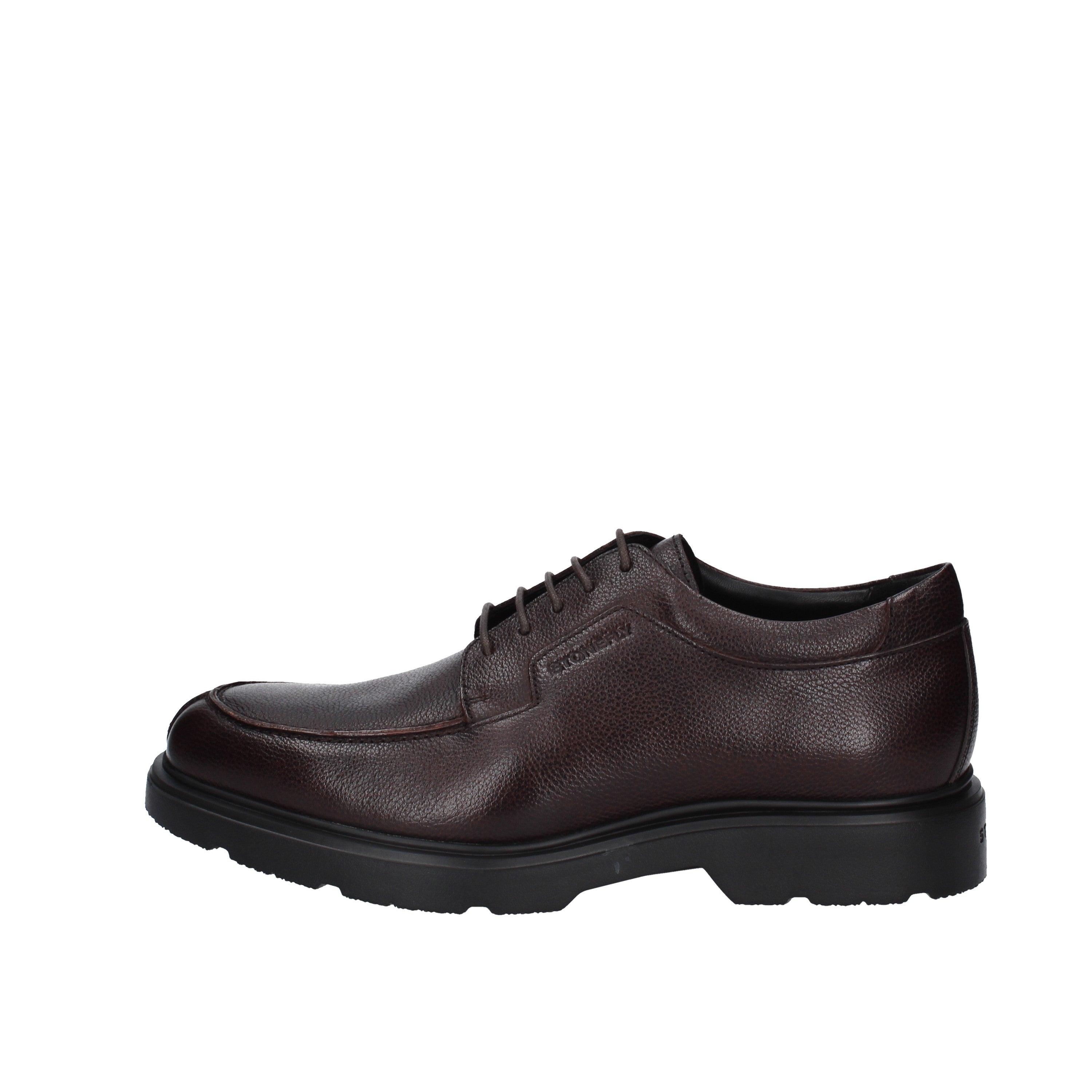 stonefly stringata 219806