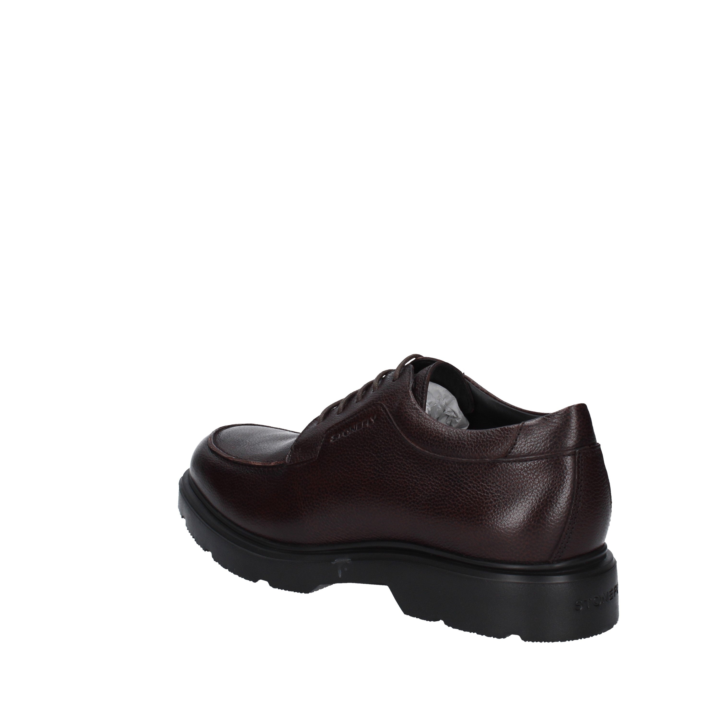 stonefly stringata 219806