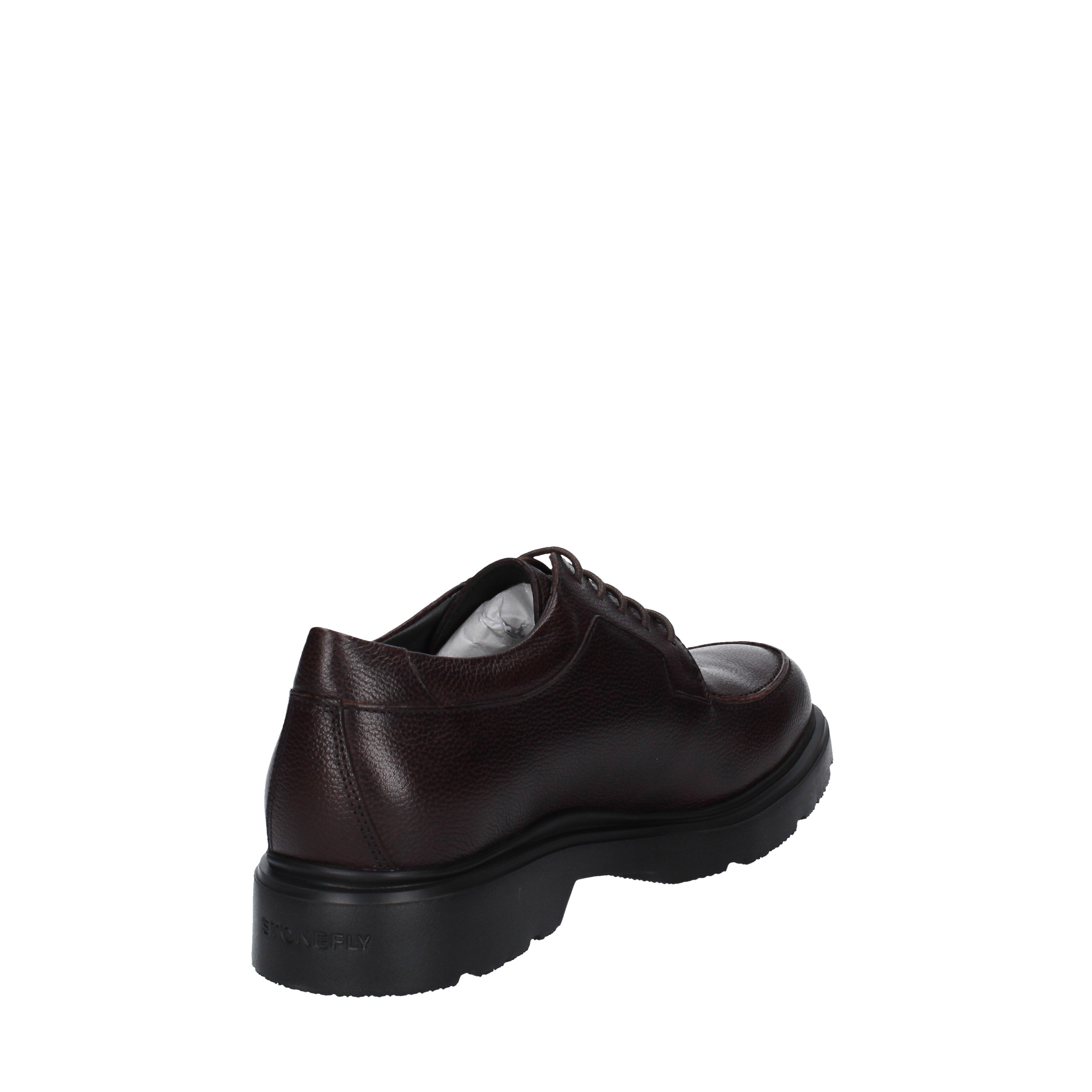 stonefly stringata 219806