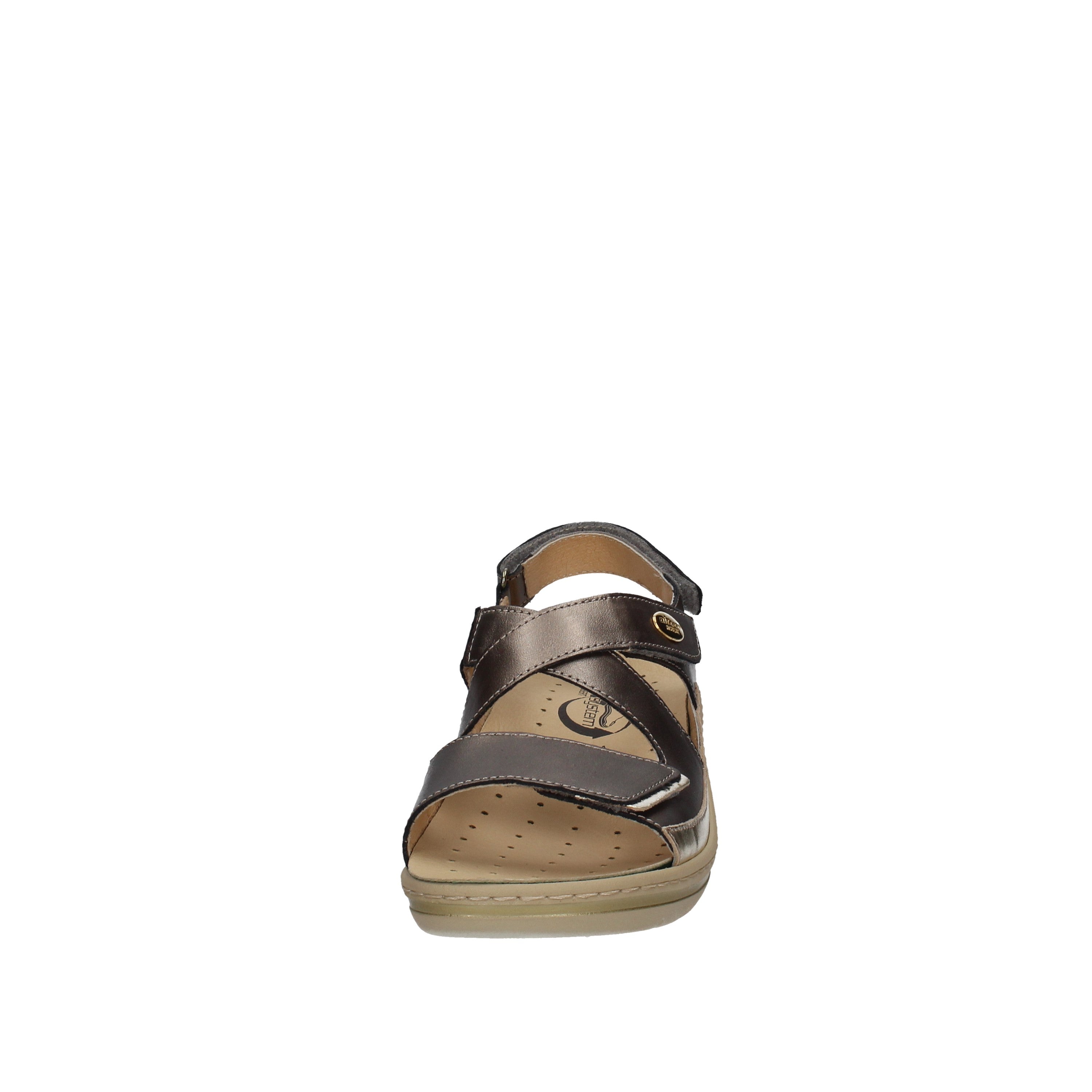 Robert  32834-1 Tortora