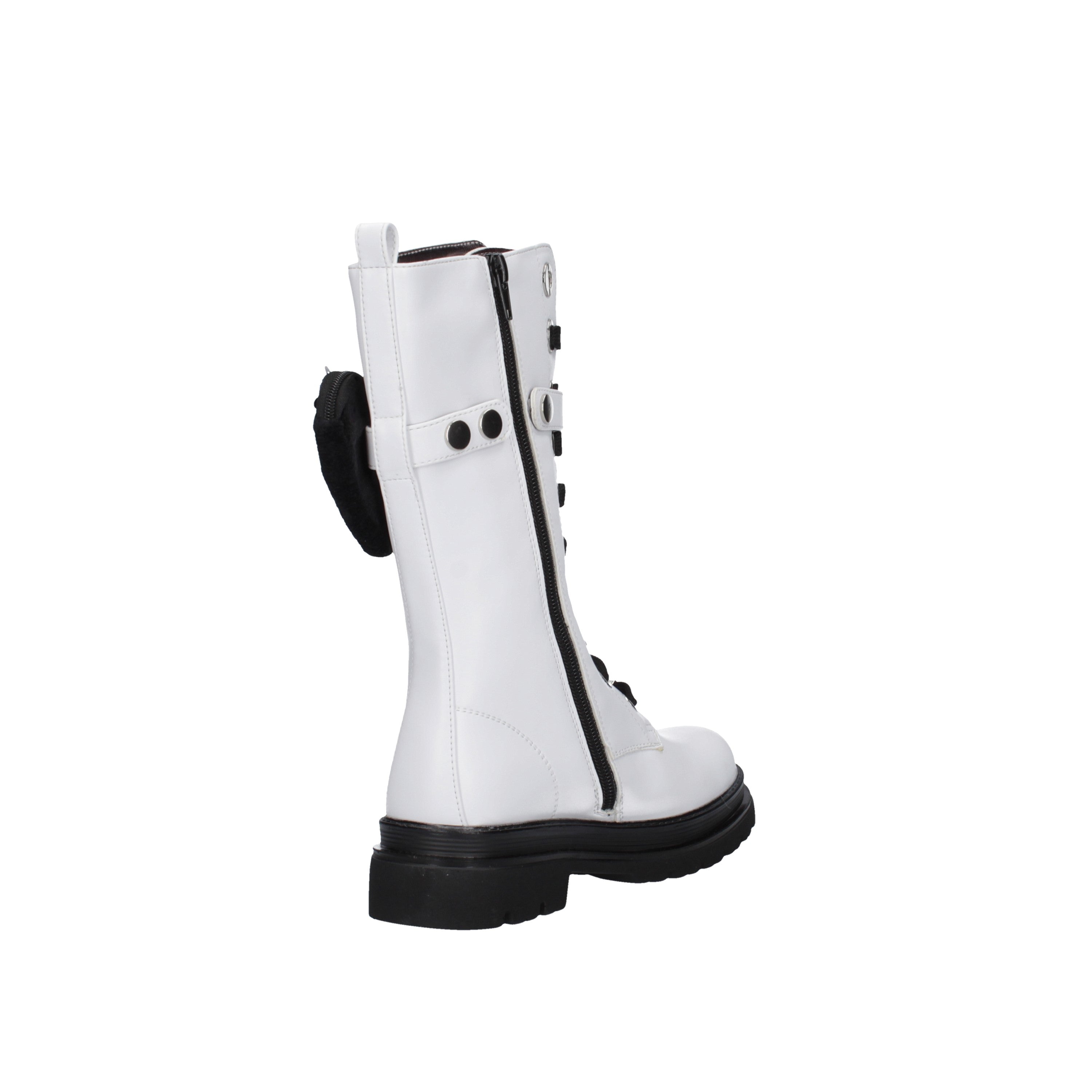 asso anfibio ag-12666