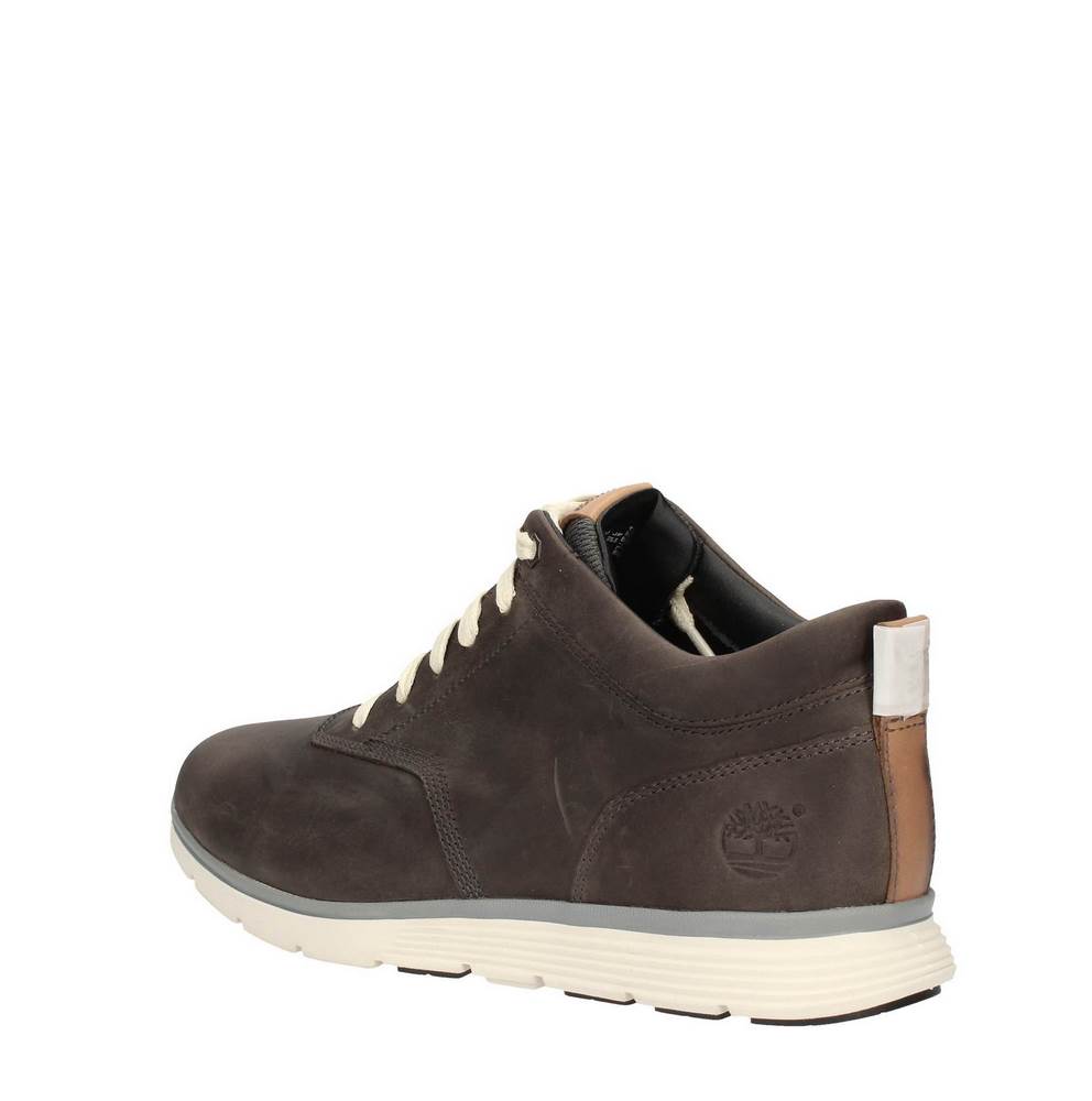 timberland polacchino ca1856